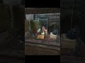СТАЛКЕР Тень Чернобыля Ӏ СЮЖЕТ? Ч.3 #gaming #memes #gameplay