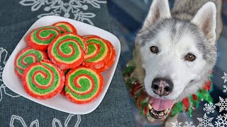 Christmas Pinwheel Cookies for Dogs 🎄 DIY Dog Treats