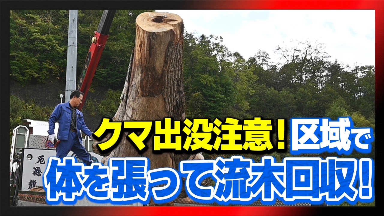 クマ出没注意！区域で体を張って流木回収！