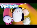 The woohoo guy  squishville  learnings for kids  education show for toddlers