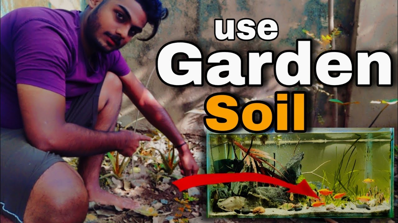 How To Use Garden Soil In Your Aquarium/अपने एक्वेरियम में बगीचे की