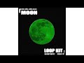 [FREE] "MOON" LOOP KIT (untiljapan, fakemink, bladee, ecco2k, yung lean, experimental)