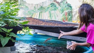 UH attracts $23M federal investment to Hawaiʻi to reduce health disparities