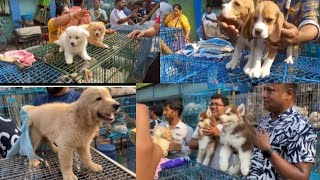 Kolkata dog  market|| Gaillf street pet market