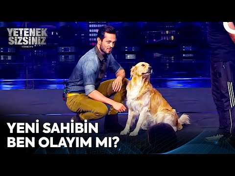 Murat Boz'dan Vogi'nin Aklını Çelecek Teklifler! 😂 | Yetenek Sizsiniz Türkiye