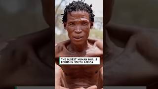Scientists Discovered the Oldest Human DNA Ever Found in South Africa… and It Changes Everything 😳