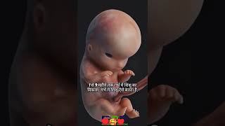 pregnancy 1 to 9 month of baby growth during. 1-9 month by month baby development in the womb