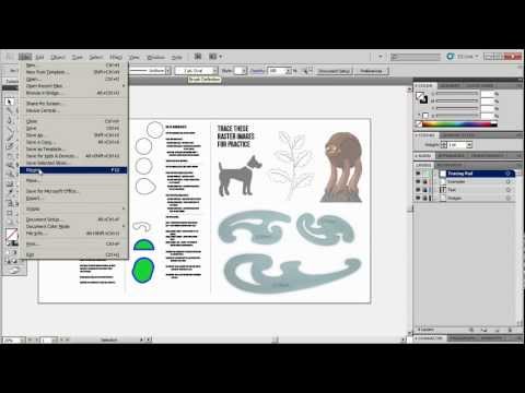 The Most Comprehensive Pen Tool Tutorial EVER MADE!