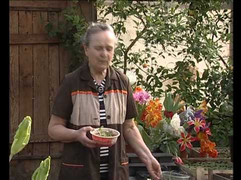 Сероклинова лариса яковлевна садовник рекомендует все серии видео