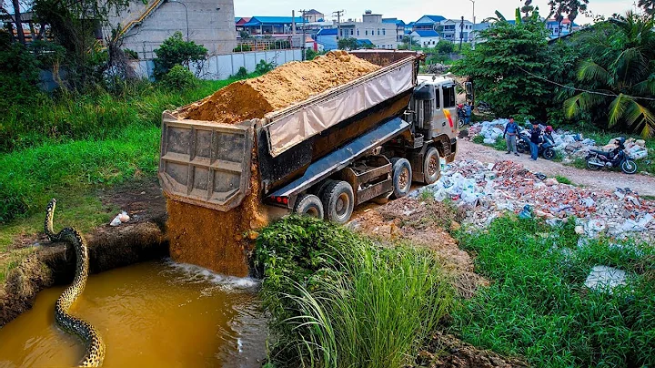 First Start Huge New Project! Landfill Delete Flooded Area by Dozer D31A with 25Ton Truck & SHANTUI