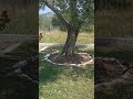 Νέο κανάλι @TsalouIRL