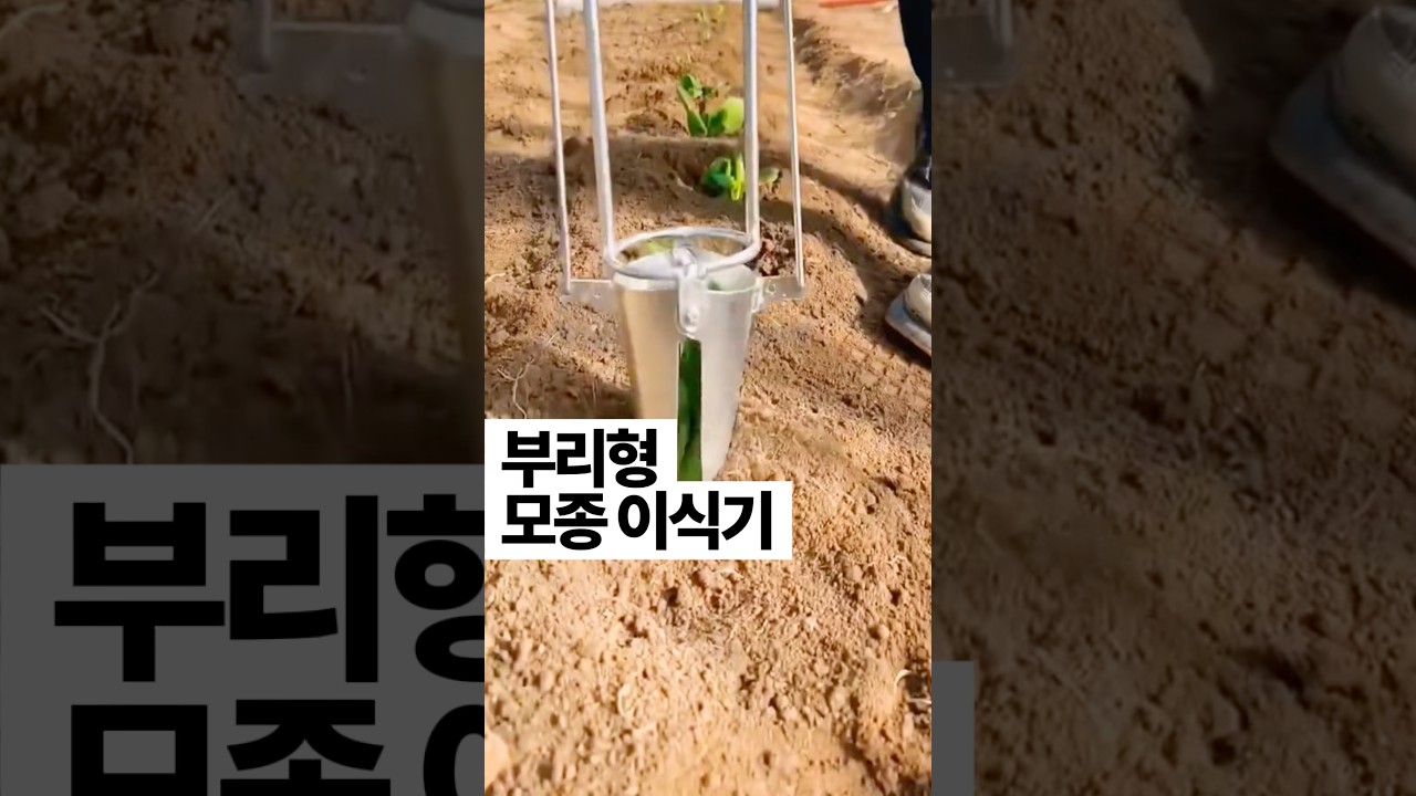 [447] 부리형 모종 이식기