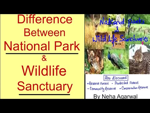 Video: Skillnaden Mellan Wildlife Sanctuary Och National Park