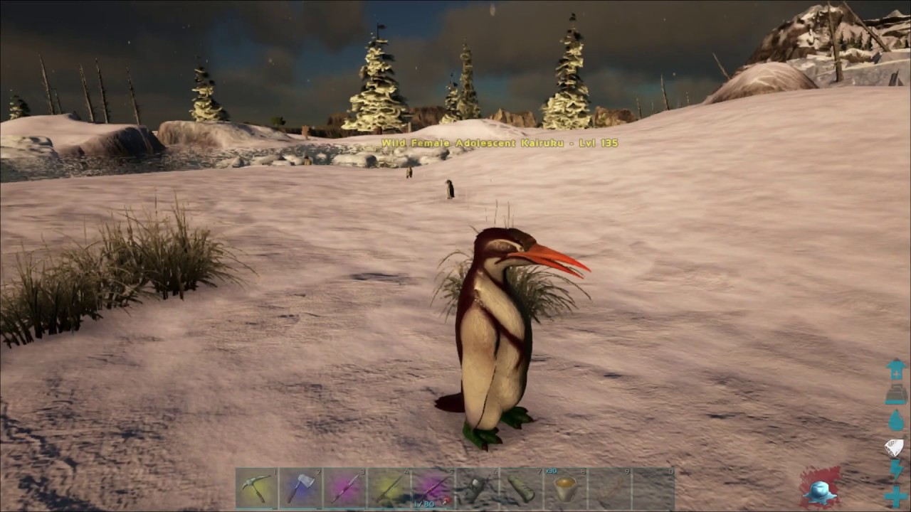 Where To Find Many Penguins Kairuku In Ragnarok Ark Ragnarok Youtube