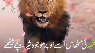 imam ghazali ki  achi bataain | Aqwal | WhatsApp status