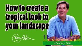 How to create a Tropical landscape in your yard Designers Landscape#612