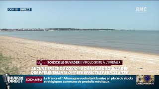 Pas de coronavirus détecté dans les coquillages ou l'eau de mer