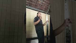 Katamu Cintaku Berlebihan trending trendingshorts viral