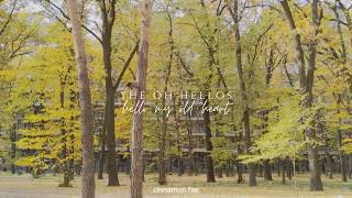 The Oh Hellos - Hello My Old Heart (slowed + reverb)