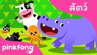 ท่าสัตว์ | เพลงสัตว์ | พิ้งฟอง(Pinkfong) เพลงและนิทาน