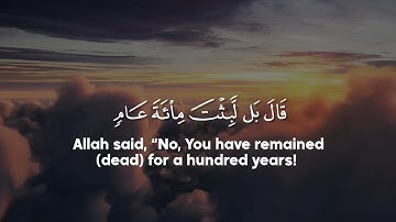Surah Al Baqarah (258-260) Mohamed Hesham سورة البقرة - القارئ محمد هشام