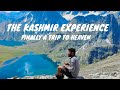 Kashmir Great Lakes (Best Trek)- July 2022 | Experience Heaven on Earth | The Road Yash Travelled