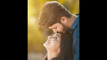 تملي معاك عمرو دياب حالات واتس اب 
