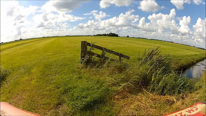 Een dagje op de boerderij in Lemmer ( Just a day o