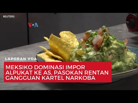 Video: Bagaimanakah avokado diangkut dari Mexico ke AS?