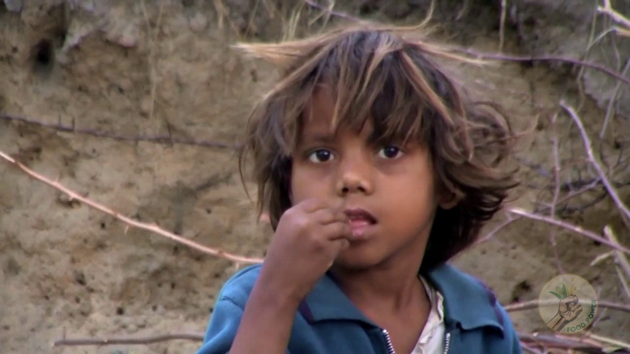 Food Consumption - YouTube