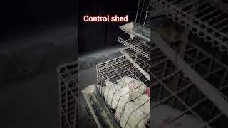 poultry farming business tips birds shorts viral