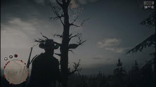 Red Dead Redemption 2_شرح كيف تجمع البيض في دور الكنوز من الشجرة من دون ماتكسر البيضه