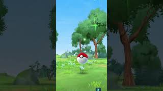 Again Cubone for you!!! :)) #funny #pokemongo #pokemon #shinypokemon