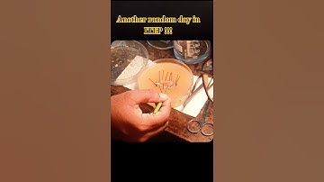 well spent day in ITEP 🤩 | another random day!! ITEP NCET #itep2025 #ncet2026 #dhsgu #itepncet #iit