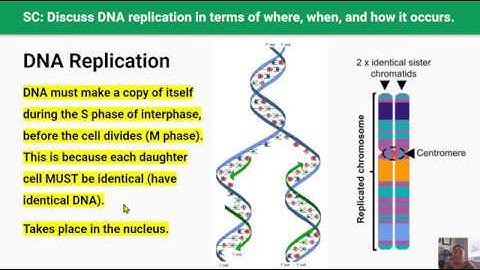 The Cell Cycle & DNA Replication (Video 8 in 2.4 Series)