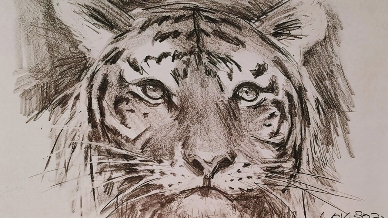 土人教画】172 素描-老虎Terrain art class Sketching-Tiger - YouTube