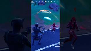 A Whole Bunch Of Craziness