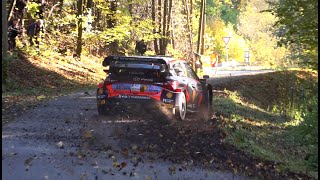 WRC Central European Rally 2023 | Best of Shakedown by La Sangle