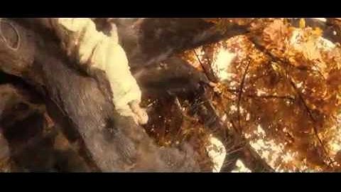 劉亦菲 2011版【倩女幽魂】 預告片-完整清晰版