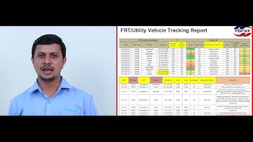 SAP & MIS Executive Reports mp4