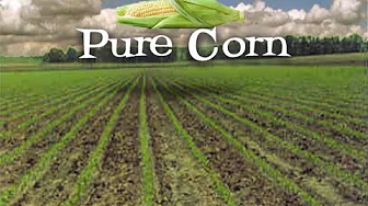 pure corn records - cover - brian eno - by this river pure corn records - cover - brian eno - by this river