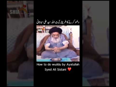 How To Do Wuzu Ayatollah Syed Ali Sistani 