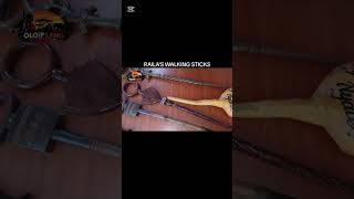 RAILA'S WALKING STICK !! #railaodinga #kenyapolitics #politics #2027 #ruto