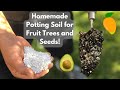 Updated homemade potting soil for avocados mangos and more