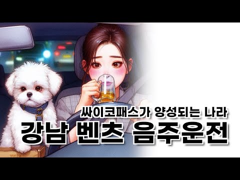 사람보다 개가 먼저였던 강남 음주운전 사망사고