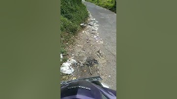 Viral Kisah Wanita Bantu Pria Gangguan Jiwa, Lalu Dapat Rezeki Tak Terduga.