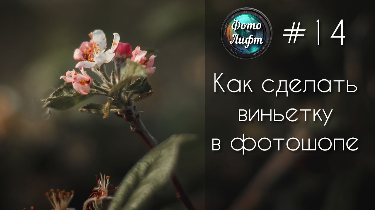 Секреты Фотошопа #14: Как сделать виньетку в фотошопе | Фото Лифт