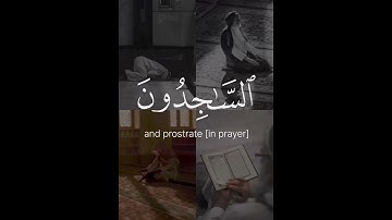 سورة التوبة - التائبون العابدون الحامدون السائحون|تلاوة خاشعة تريح الأعصاب القارئ فار عباد🌿🎧🌙