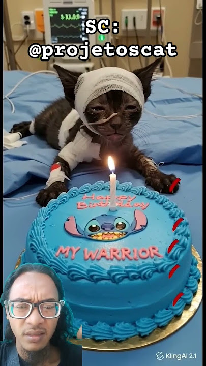 🐱😷#happybirthday #funny #cute #cats #cat #feed #feedshorts #gamtng #wgitachi