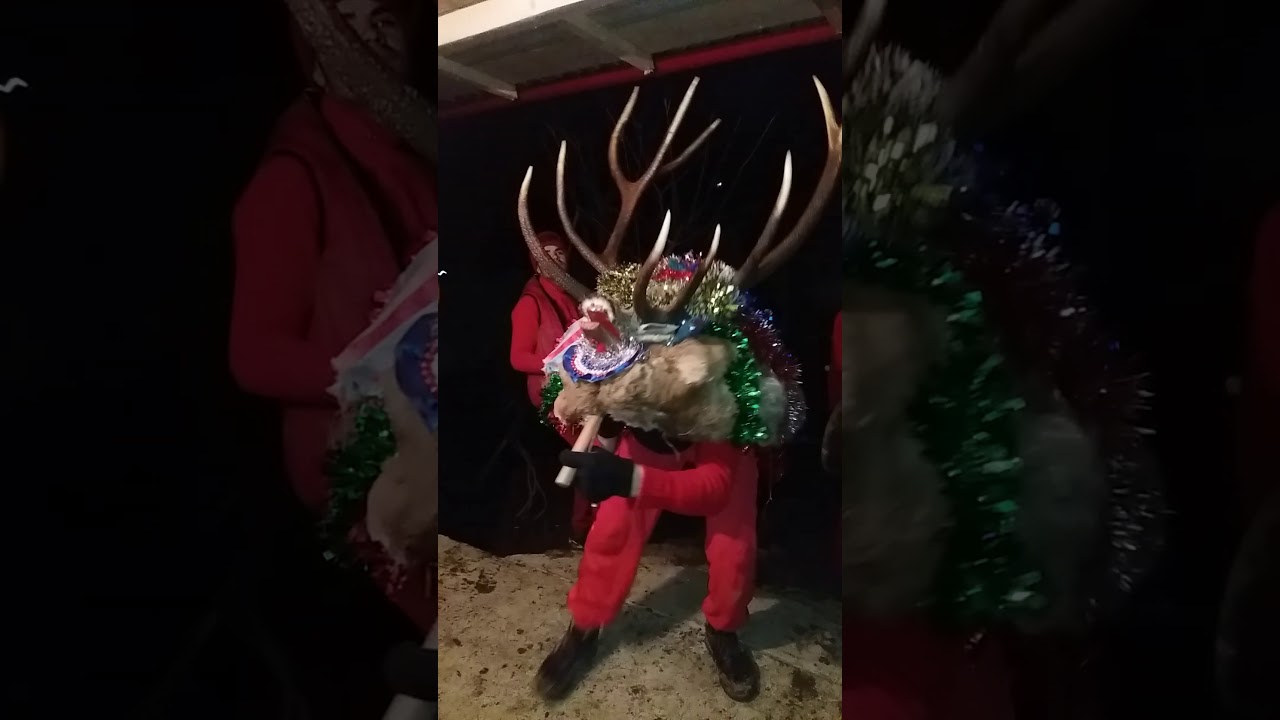 Cerb braesti fam.popescu